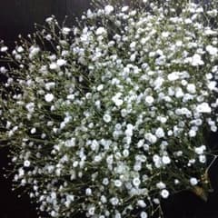 m92004337722_1.jpg?1741825850