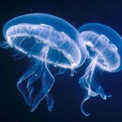 ゆめ様専用のサムネイル