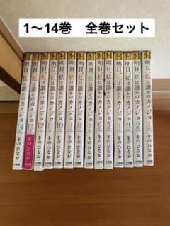 明日、私は誰かのカノジョ　1〜14 全巻セットのサムネイル