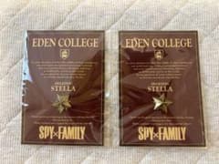 【非売品】SPY×FAMILY展 キーワードミッション クリア特典 ステラピンズのサムネイル