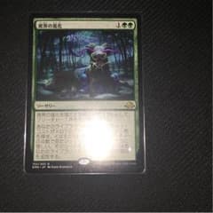 異界の進化のサムネイル