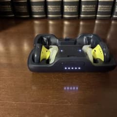 Bose QuietComfort Earbuds 本体＋充電コードのサムネイル