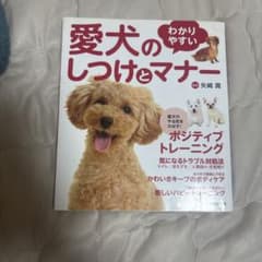 愛犬のしつけとマナー わかりやすいポジティブトレーニングのサムネイル