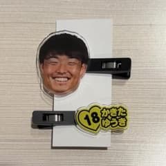 柏レイソル【垣田裕暉選手】マルチクリップのサムネイル