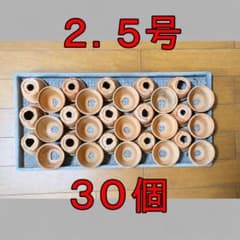 植木鉢 2．5号 30個 素焼き鉢 実生鉢 底穴大 中古品 06161 - メルカリ