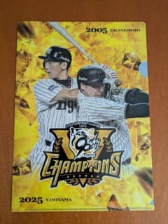 阪神タイガース　クリアファイル　(2004年〜2012年開幕スタメン) 阪神タイガース クリアファイル (2004年〜2012年開幕スタメン) 阪神