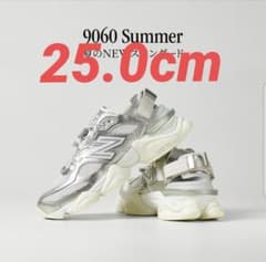 ニューバランス U90605FL summer サンダル 9060 25.0cmのサムネイル