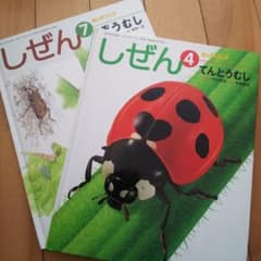 キンダーブック しぜん   てんとうむし  ぞうむしのサムネイル