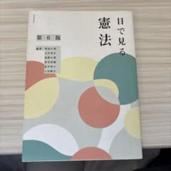 目で見る憲法 第6版のサムネイル