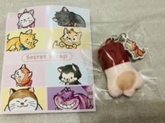 디즈니 시크릿 캐릭터 스트랩 오테테 이상한 나라의 앨리스