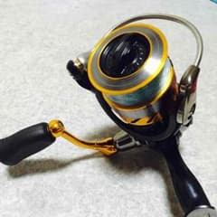 ダイワ レブロス2000のサムネイル