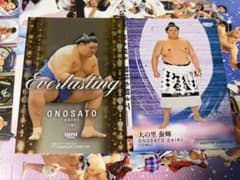 BBM Masterpiece 2026 대사토 타이키 카드 2장 세트 요코즈나