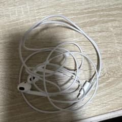 Apple公式　有線イヤホンのサムネイル