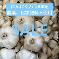SALE にんにくバラ500g大阪エコ農産物　農薬、化学肥料不使用認証 - 5