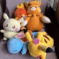 포켓몬 인형 세트 신품 5 체