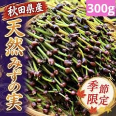 新鮮山菜】天然みずの実 ミズのコブ 300g以上⑥ - メルカリ