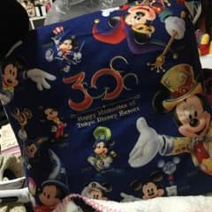 ディズニー30周年クッションのサムネイル
