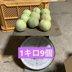 若桃加工用10キロ　ATM支払いNGのサムネイル