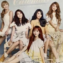 KARA 直筆サイン入りスペシャルカレンダー2013 - メルカリ