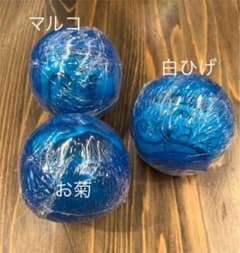 ワンピの実　白ひげ　マルコ　お菊のサムネイル