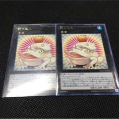 餅カエルのサムネイル