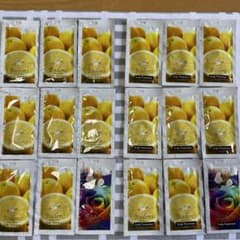 バーデンス　シャンプー、トリートメント　試供品のサムネイル