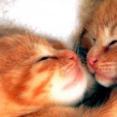 BLUE様専用❣️のサムネイル