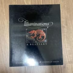 【洋書】Illuminations 写真集 スティーヴンジェイグールドのサムネイル