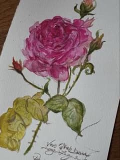 水彩画　フランス　パリ ローズ 水彩画 パリ フランス ローズ - メルカリ