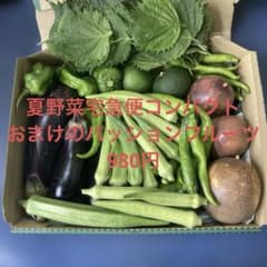 夏野菜詰め合わせ おまけパッションフルーツ 980円のサムネイル