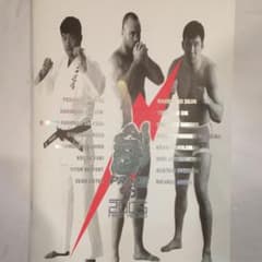 2005PRIDE GPパンフレットのサムネイル