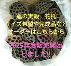 ✿ 蓮の花托✿ ちりめん細工 蓮の実 花托 ちりめん細工 手作り素材 フラワーアレンジメント