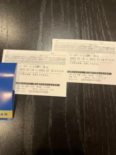 ぱいぱいさま専用　USJスタジオパス　大人2枚のサムネイル