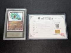【ポケカ】ARS10 レックウザ イラストコレクション プロモ 鑑定書付き m92109077133_1.jpg?1784980682