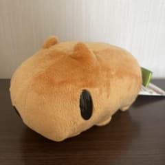 [레어품]카피바라씨 그루미 모리 척 콜라보 봉제인형