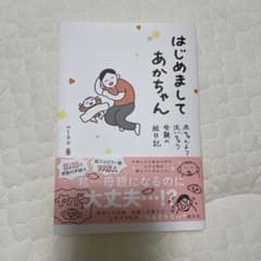 はじめましてあかちゃん 赤ちゃんより泣いちゃう母親の絵日記のサムネイル