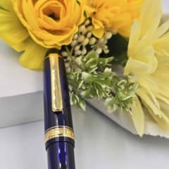 希少品 PLATINUM 100周年記念 シャルトルブルー 14K 特別刻印ニブ 