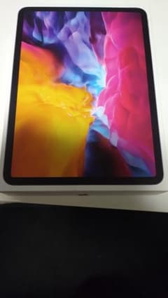 iPad Pro (第2世代) 11インチ 256GB スペースグレイ WiFiのサムネイル