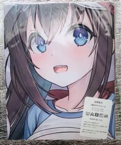 ポケモン トレーナー メイ 等身大 抱き枕カバー 抱き枕 - メルカリ