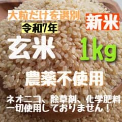 【袋数限定値下げ】農薬不使用 化学肥料不使用 玄米 袋数限定値下げ】農薬不使用 化学肥料不使用 玄米 お米 - メルカリ