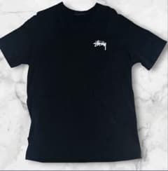 STUSSY ステューシー Fuzzy Dice SS Tee ロゴ Tシャツのサムネイル