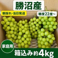 山梨県勝沼産 シャインマスカット 箱込み約4kg 家庭用 糖度22度〜 農家直送のサムネイル