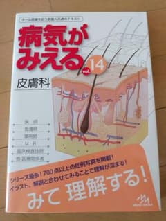 病気がみえる vol.14 皮膚科のサムネイル
