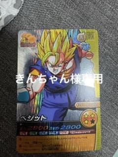 ドラゴンボール データカードダス ベジット SP-011-IVのサムネイル