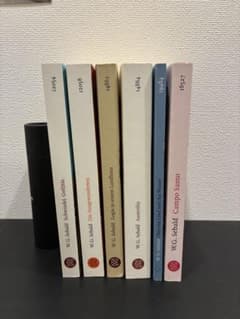 W. G. Sebald ゼーバルト作品 ドイツ語原書 6冊セット - メルカリ