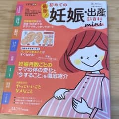 最新!初めての妊娠・出産新百科miniのサムネイル