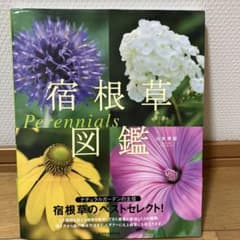 宿根草図鑑のサムネイル