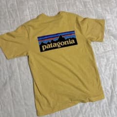 Patagonia パタゴニア 半袖 Tシャツ イエローのサムネイル