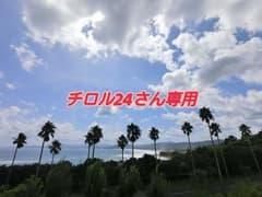 アディダス superstar pridepack 2016のサムネイル