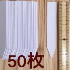 高級園芸用品　ネームラベル50枚　7.5㎝のサムネイル